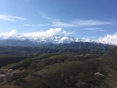-中华福寿山