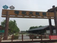 -白洋淀景区