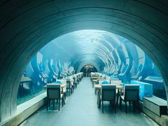 -涛·海底餐厅·美人鱼·自助餐·海底隧道(三亚海棠湾洲际度假酒店)