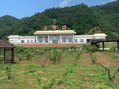 -河口景区