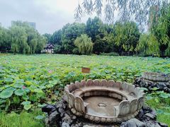 -堤角公园