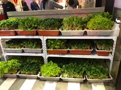 -捞围鲜·港式打边炉(海阳路店)