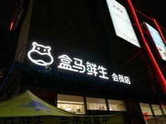 -盒马鲜生(大成店)