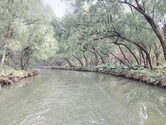 -大湾区中央湿地公园