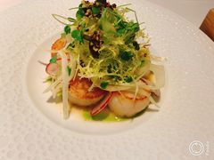 香煎北海道扇贝-蝶舍·MAISON PAPILLON