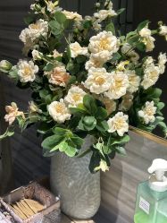 -香秀空间科技抗衰·美容中心