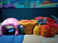 -青岛嘉年华主题乐园