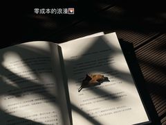 -荔湾湖公园