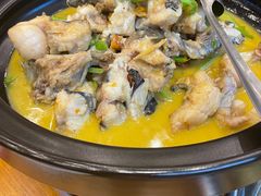 -饭怕鱼(阳光100店)