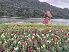 -广州市石门国家森林公园