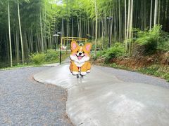 -东明山森林公园