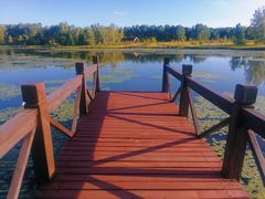 -塞罕坝国家级自然保护区