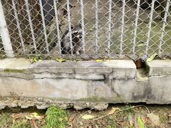 -哈尔滨北方森林动物园