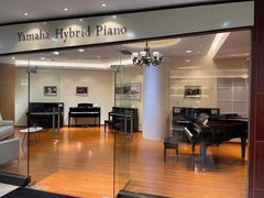 -知音艺术教育培训·钢琴培训·音乐培训(河西金鹰世界校区)