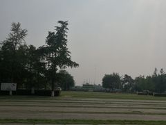 -成都泰迪熊博物馆