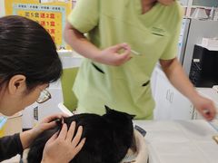 -艾吉宠物医院·疑难杂症转诊中心·猫友好(碧江路院)