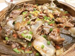 -虾饺妹·酒家(金碧店)