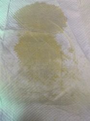 -康乃馨·馨悦佳人(鹭江店)