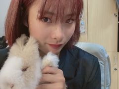 -猫猫幼稚园·撸猫·桌游·电玩
