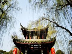 -棠湖公园