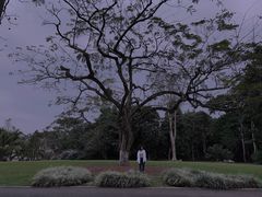 -中国科学院西双版纳热带植物园