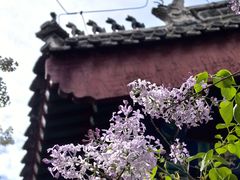 -大顺堂食府(牛街店)