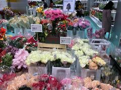 -盒马X会员店(上海森兰商都店)