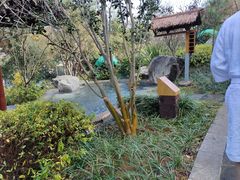 -七彩云南古滇温泉山庄