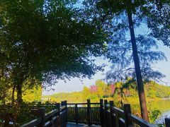 -东湖落雁景区