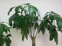 -闪电蜂手机快修连锁·上海永赋科技店