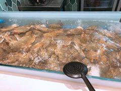 -星伦多海鲜自助餐厅(徐州铜山万达店)
