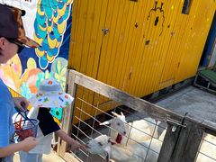 -前小桔亲子创意农场·草莓采摘·露营烧烤