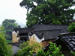 -杨家堂村