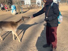 -北京麋鹿生态实验中心