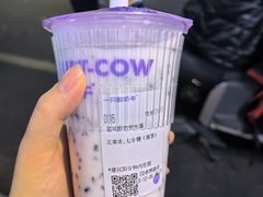 -一只酸奶牛(春熙路店)