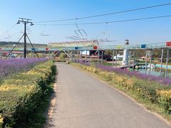 -北纬44度·金珠花海休闲农业旅游景区