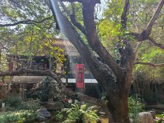 -广州兰圃