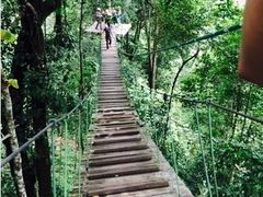 -清迈丛林飞跃 JungleFlight