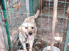 -呼吸森林·生态农庄农家乐私房菜