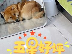 -宠颐生·恒爱宠物医院(静海店)