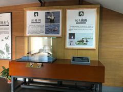 -漩门湾国家湿地公园