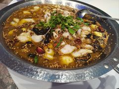 -巴特餐饮6加1音乐餐吧·新疆菜