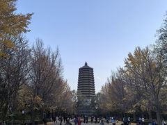 -玲珑塔公园