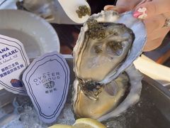 -普朗姆生蚝吧(原建国路店)