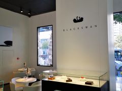 -BLACKSWAN黑天鹅(环球店)
