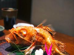 -傑·料理·海鲜放题(佛山文华荟店)