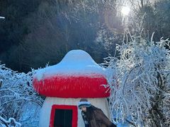-叠溪松坪沟景区