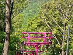 -帽儿山风景区