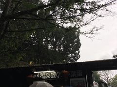 -金盆阿嬷香菇茶叶蛋(玄光店)