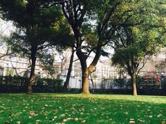 iphone_upload_pic-上海瑞金洲际酒店